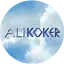 alikoker.com.tr