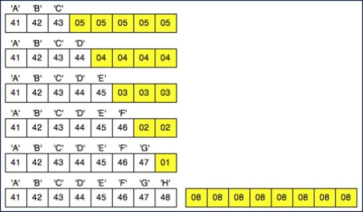 PKCS #7 and the Cryptographic Message Syntax Standard - pkcs06.jpg