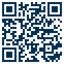 Computer System Audit QR Kod