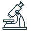 Image from the Perspective of Basic Sciences